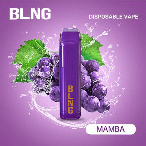 BLNG DISPOSABLE VAPE 3300 PUFFS THE ART OF VAPE